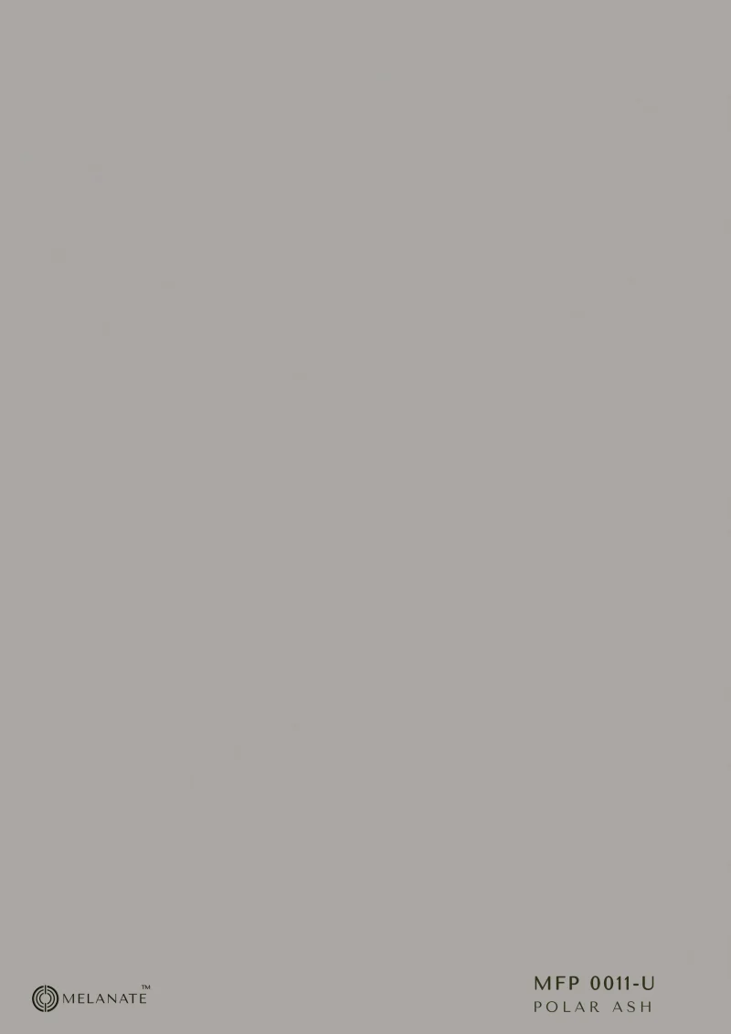 MFP 0011-U Polar Ash - Image 2