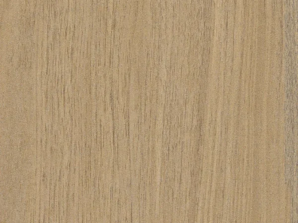 Alternative view of MFP 1128-WP Golden Hazel