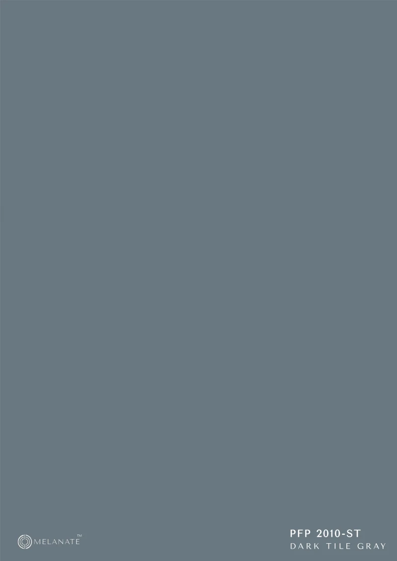 PEP 2010-ST Dark tile Gray - Image 2