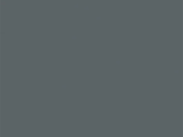 PFP 2011-ST Jeju Gray